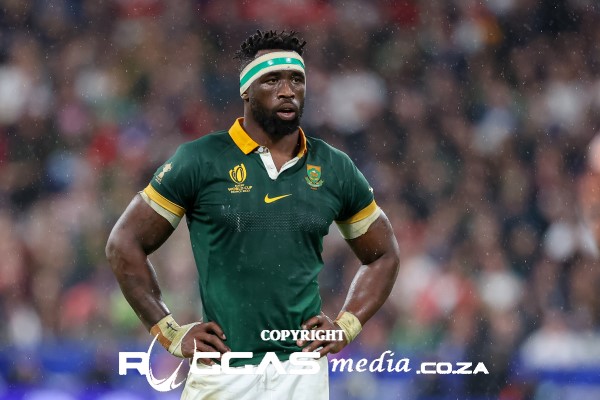 Springboks Ripped Photo Rugby Championship – Springboks Brutal In Win Over Australia – Ruggas.co.za