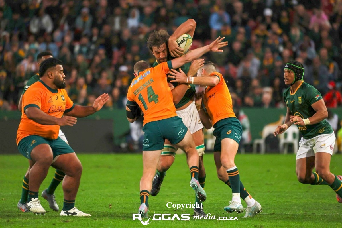 Their “Dog Sh*t” Performance Cost Springboks Pride And Crown – Ruggas.co.za